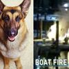 "Lucky" Dog Saved From Drowning, Dies In Houseboat Fire